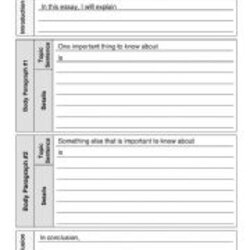 Wizard Paragraph Essay Outline Worksheet By