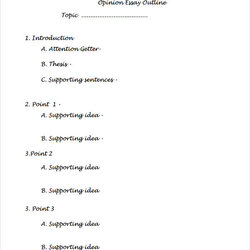 Sample Essay Outlines Examples Format Opinion Outline Doc Education