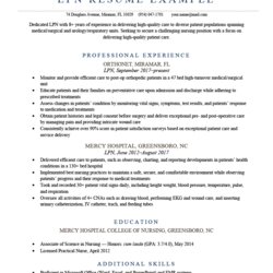 Matchless Sample Resume Example Template