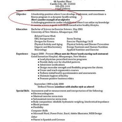Preeminent Very Good Objective For Resume Web Objectives Examples Career Sample