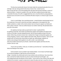 Legit Essays High School Personal Short Narrative Essay Example Descriptive Examples Story Writing Sample