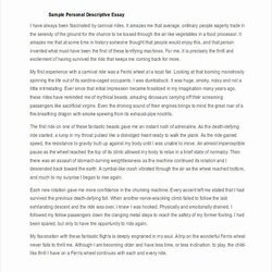 Wonderful Descriptive Narrative Essay Example Lovely Free Examples Writing Choose Board