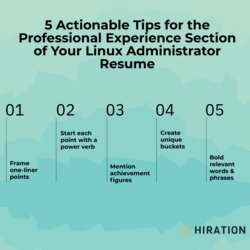 Super Linux Administrator Resume The Ultimate Guide With Examples Tester Work Experience Section