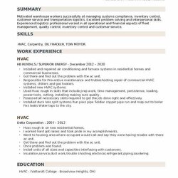 Magnificent Resume Samples Resumes