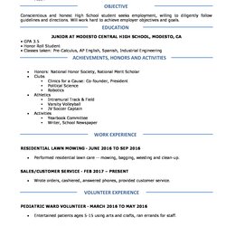 High Quality Pin On Homeschooling Resumes Students Summary