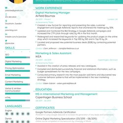 Great Best Type Of Resume Template To Use Invitation Ideas Templates Professional Formats Proportions For