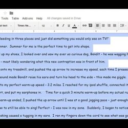 Format Narrative Essay Example Report Template For