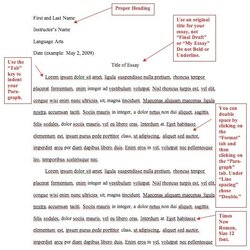 Swell Format Narrative Essay Example Essays Citation Subheadings Referencing Formatting Tessa Equilibrium
