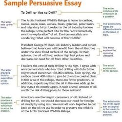 Wizard Image Result For Persuasive Writing Examples Kids Essay