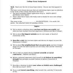 The Highest Standard Free Sample College Essay Templates In Ms Word Assignment Essays