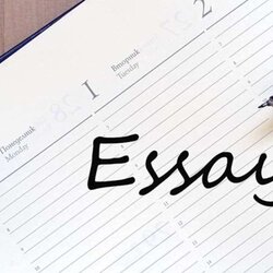 Tips For Writing Essay Assignments Easily And Faster While Still Having Fun Assignment Fit