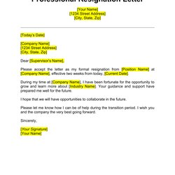 Superior Letter Of Resignation Email Template Database
