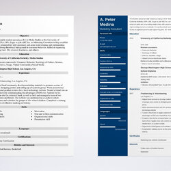 Perfect Best Resume Template For No Work Experience Invitation Ideas First With Examples Guide Intended