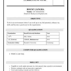 Perfect Download Template Gratis Free Ms Word Resume Simple Doc File