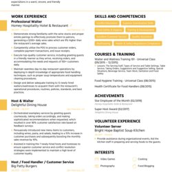 The Highest Quality How To Write Functional Resume Free Templates Included Professional Example