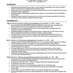 Peerless Resume Summary Examples Qualifications Proportions Intended Operations