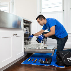 Sublime Dishwasher Repair Cost Average Price To Fix Appliance Service