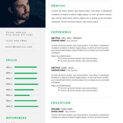 Superlative Professional And Modern Resume Template Free