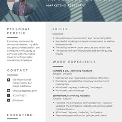 Excellent Modern Professional Resume Templates By Curriculum Vitae Resumes Breve