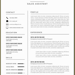 Worthy Corporate Resume Template Free Of The Best Modern Templates For Examples Resumes Executive