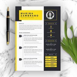 Supreme Best Contemporary New Styles Resume Templates For Template Modern Clean Minimalist Word Developer Web