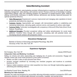Matchless Marketing Assistant Resume Example Sales Coordinator