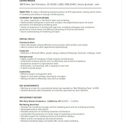 Magnificent Project Coordinator Sample Democracy Assistant Marketing Resume