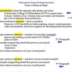 Superb College Level Persuasive Essay Examples Topics