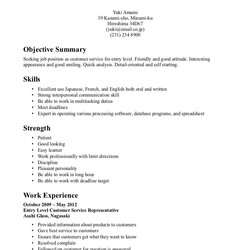 Customer Services Cashier Resume Objectives Mt Home Arts Objective Waitress Statements