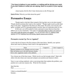 Preeminent Free Persuasive Essay Examples Best Topics Example