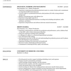 Swell Music Producer Resume Production