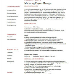 Outstanding Marketing Resume Samples For Successful Job Hunters Manager Project Template Examples Sample