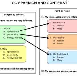 Brilliant Example Of Compare And Contrast Essay Point By Paragraph Essays Comparison
