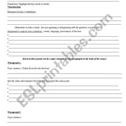Fine Essay Planning Sheet Worksheet By