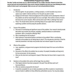 Splendid Proposal Examples Samples In Doc Google Docs Pages Essay Outline Example Business