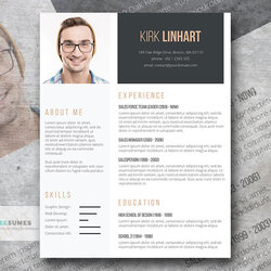 Wonderful Professional About Me Profile Template By Reusable Resume Clean