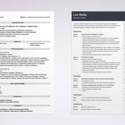 Business Analyst Resume Sample Skills For Examples Samples Summary Templates