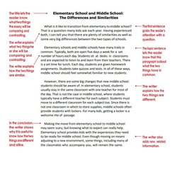 Excellent Reflection Essay Examples Of College Compare And Contrast Essays Middle School