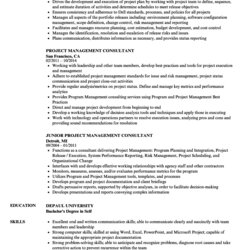 The Highest Quality Project Management Consultant Resume Samples Velvet Jobs Sample Examples Manager File