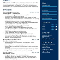 Cool Business Development Consultant Resume Sample In