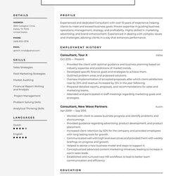 Sublime Consultant Resume Examples Writing Tips Edit