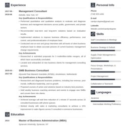 Capital Management Consultant Resume Samples Guide Example Template Vibes