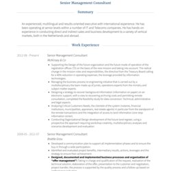 Marvelous Project Manager Consultant Template Management Examples Monte