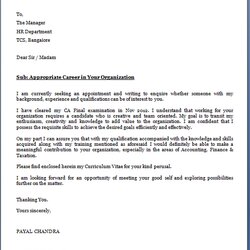 Magnificent Cover Letter For Resume Example