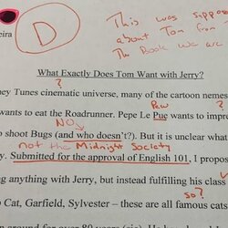 Superb Comedian Posts Fake Essay Online Pretending To An English Teacher Flak Draws Alexis