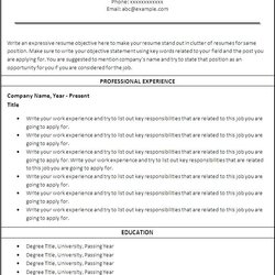 Superior Free Resume Job Templates Examples Template Seekers Word References