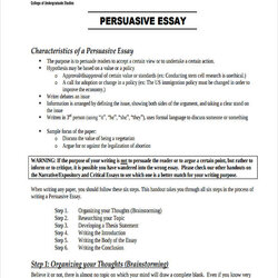 Superb Persuasive Writing Guidelines College Essay Level Example Examples Essentials Beginning Able Learn