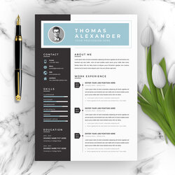 Professional Word Resume Template Vitae Resumes Clean Creative And Modern Curriculum Design Ms Apple Pages
