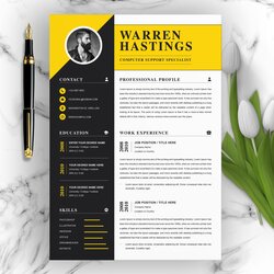 Preeminent Professional Resume Template With Multiple File Formats Creative Templates Word Modern Curriculum