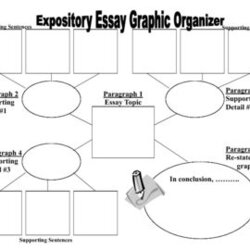 Admirable Expository Essay Graphic Organizer